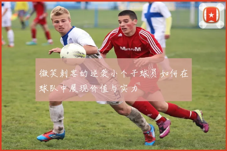 微笑刺客的逆袭小个子球员如何在球队中展现价值与实力